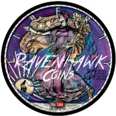 RavenHawk Coins net worth