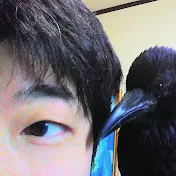 ペット記録チャンネル