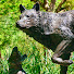 a-FXDnhLLNw-channel-avatar-Lowcountry Bushcraft