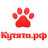 k083SjpMZ60-channel-avatar-Кутята.рф - Все о собаках