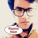 Triggered Insaan Net Worth