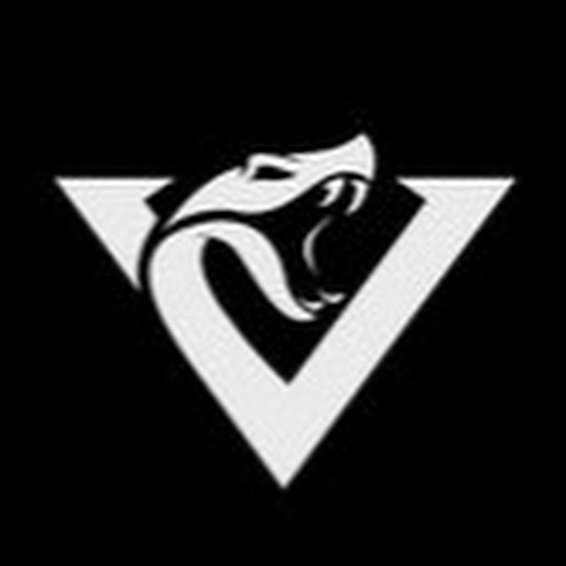 Viper1392000