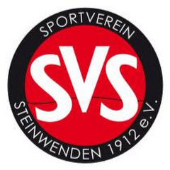 Steinwenden Volleyball Team