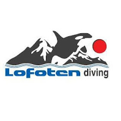 LofotenDiving