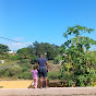 njaphs