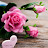 @byeong-cheorseo6988