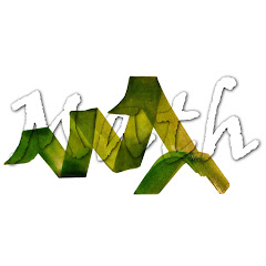 muhammet emin ulaşkın