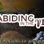Abiding In The Vine logo