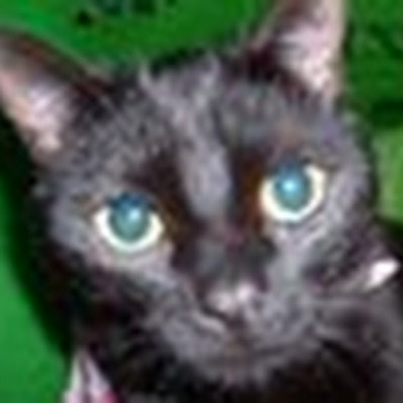djbabylove icon