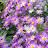 @user-ls5vh2cj3h
