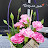 @user-vi3jo5kx5h