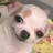 @권나영-f1o