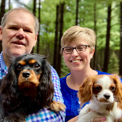 Travels with Delaney net worth