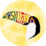 1fb7Fd0F5Dg-channel-avatar-Brasiliando