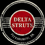 Dan Bubien & the Delta Struts logo