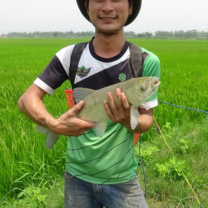 Fishing Videos