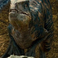lionkingfactsguy profile image