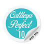Cattleya Perfect 10 Med Spa logo
