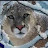 @kimcrabb9031 Avatar