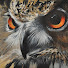 m7AAtdw0uZ4-channel-avatar-owl