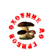 mushroom-life