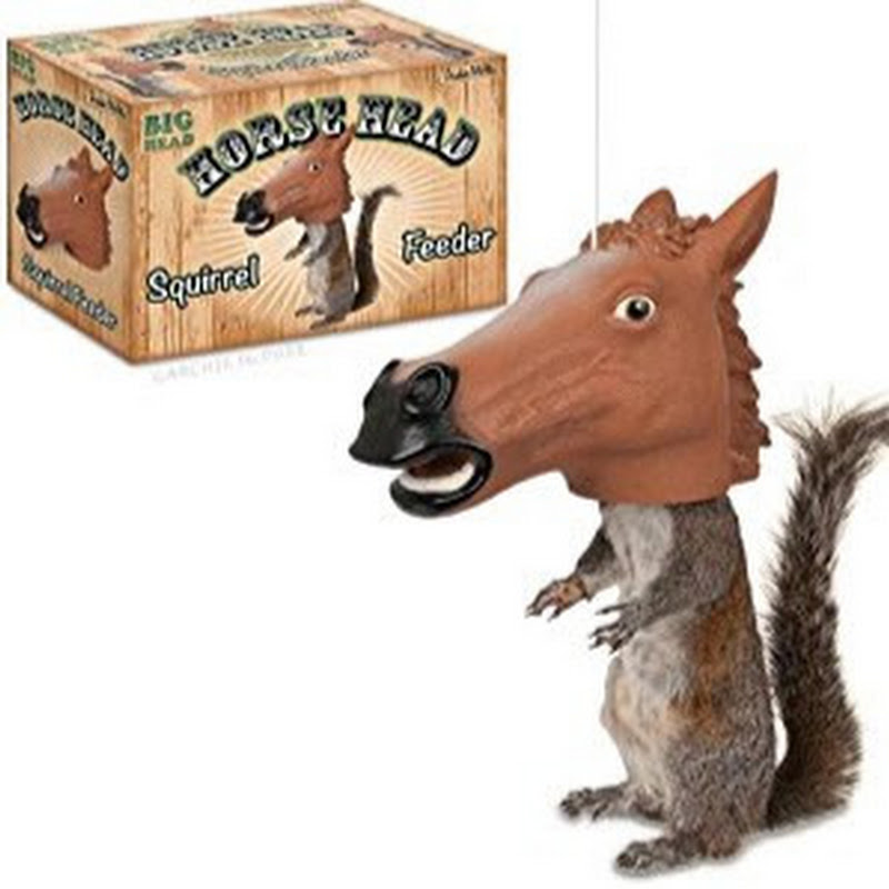 I Am Horse
