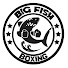 _H8Eh7CM1oo-channel-avatar-Big Fish Boxing