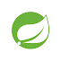 7kX3fs0pWwc-channel-avatar-SpringDeveloper