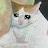 @김두식-w3z