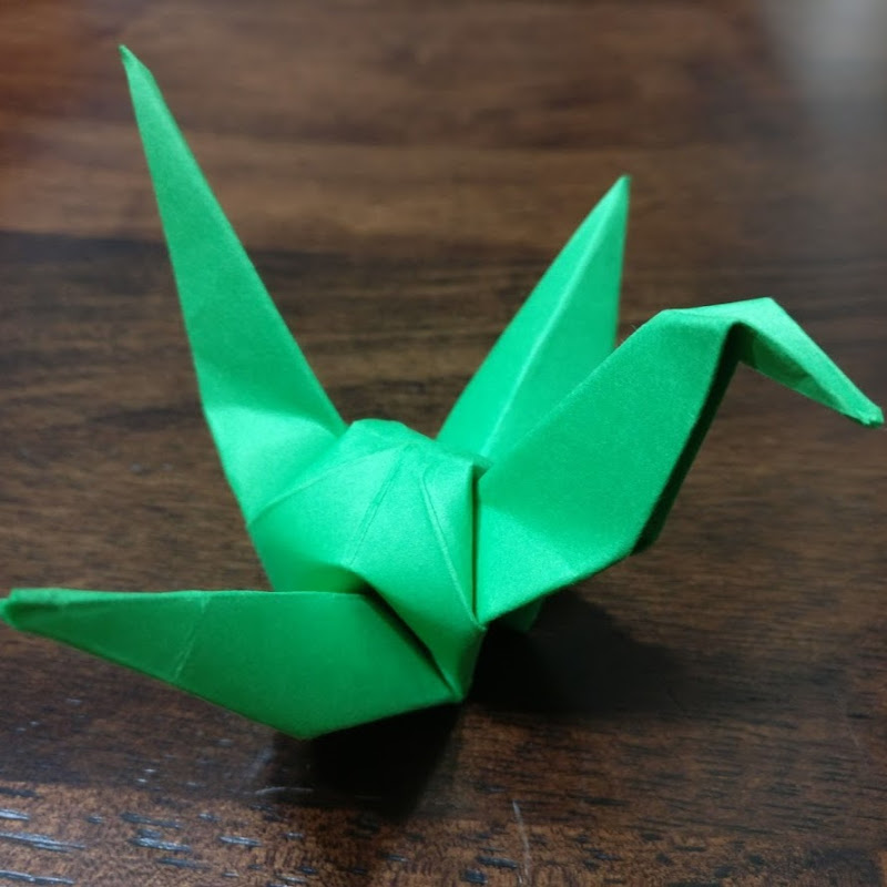 PaperBird