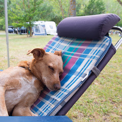 Camping Tasmania