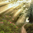 33XcG0WdAD4-channel-avatar-Patrece Sunflower