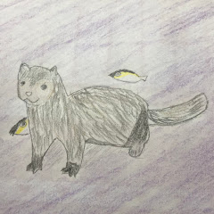 minkuミンクソン