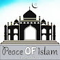 Peace Of Islam - Malayalam Channel logo