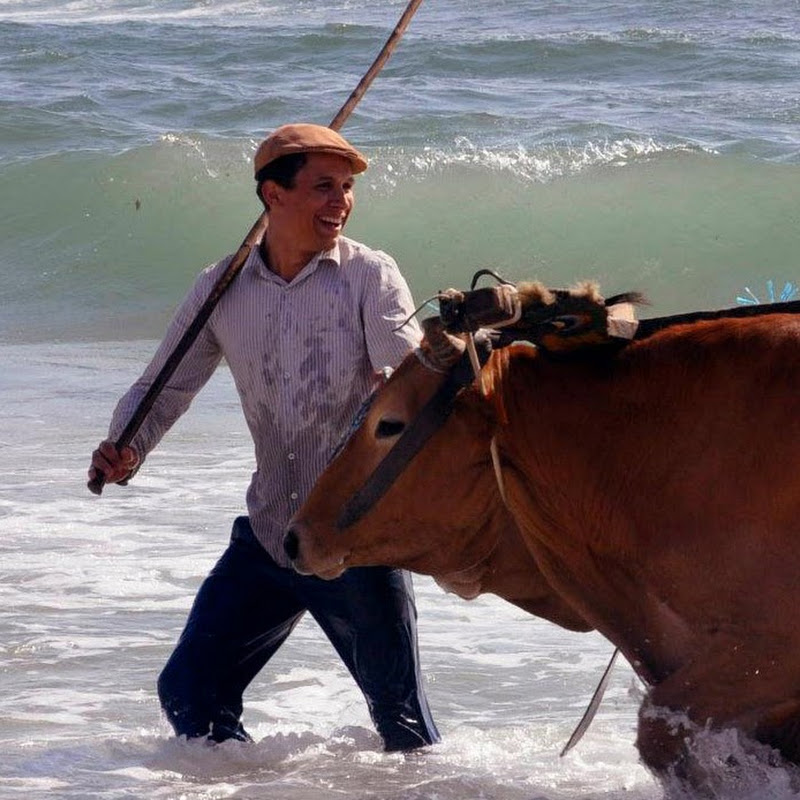 Joaquim Ribeiro