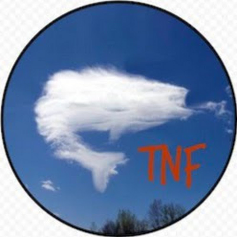 The Nature of Fishing icon