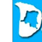 Digital Congo TV YouTube channel avatar