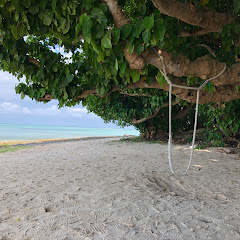 日本列島まるっと旅