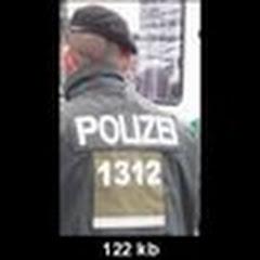 BigSteitzi