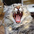 @Beati3's avatar