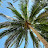@benccceb375 Avatar