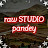 Pandey's raw Studio