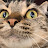 youtube avatar