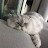 @아기와고양이-c1e