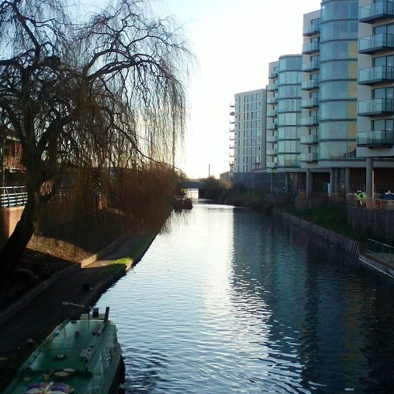 HayesMiddx