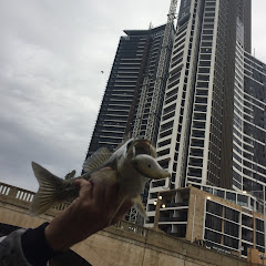 Windsor Bait And Tackle