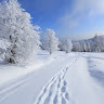Автор