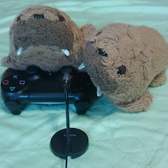 ウチ＆セイ（と、その他数名）の面白ゲーム実況ch