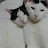@냥이사랑-v5e
