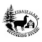 Pyrate LLama Recording Studio